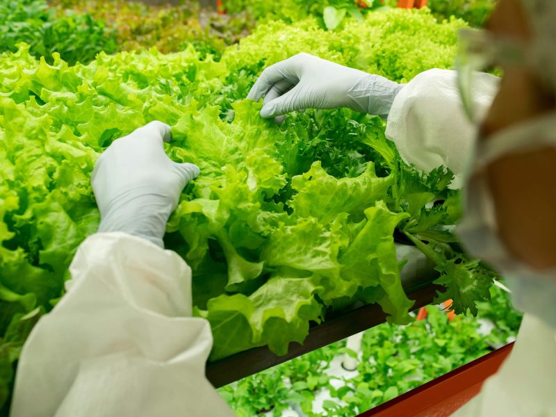 deltaagrifoodbusiness-opleiding-DAB